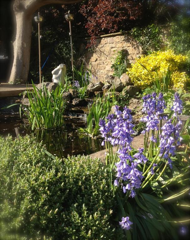 Hazel Manor Guest House Harrogate Luaran gambar